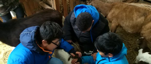 IMG_20170420_105734_HDR